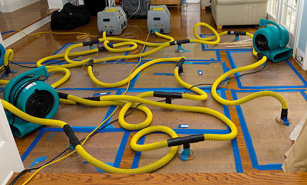 Professional Sewage Cleanup technician working in Reinholds, PA